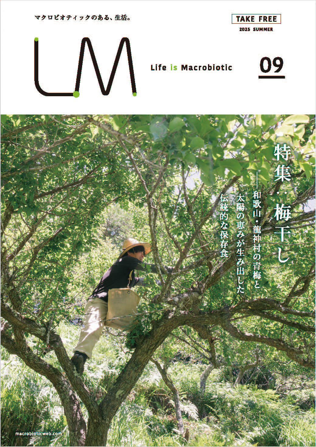 LM vol.9梅干し