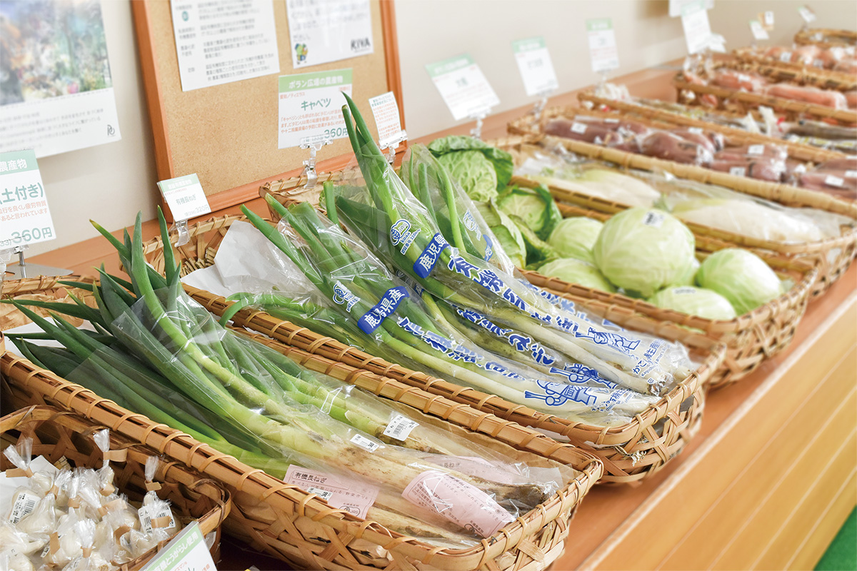 KIVA 青梅店（東京都青梅市）・KIVA つくば店（茨城県・つくば市）