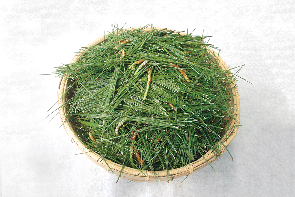 オーサワの松葉エキス