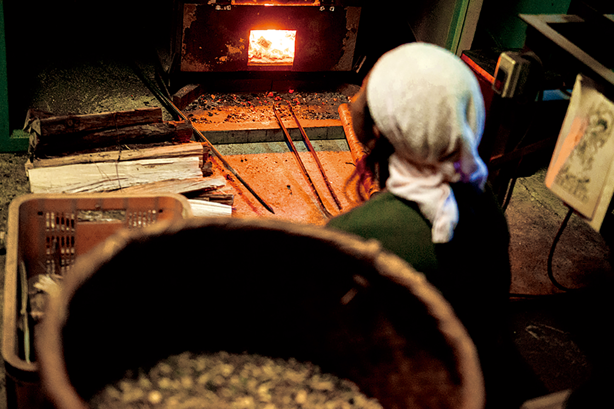 オーサワの薪火晩茶（三年番茶）冬摘み