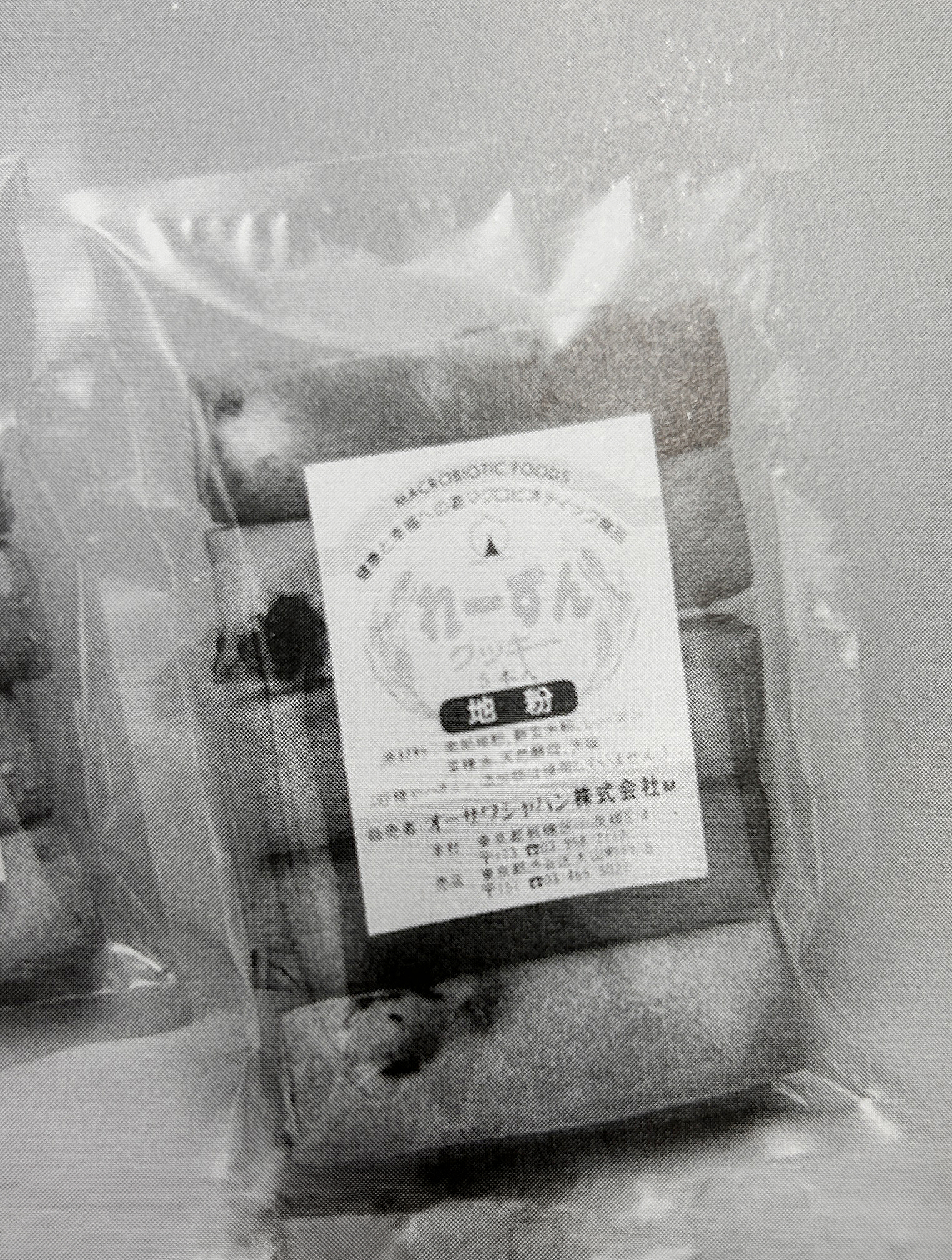 オーサワのレーズンビスケット