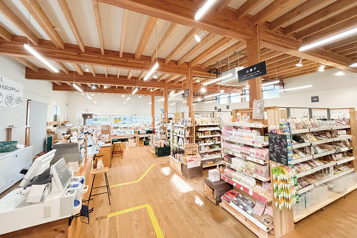 元気な野菜たち のっぽくん 石川県自然食品