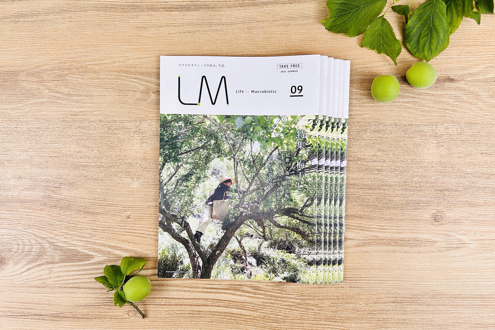 LM「Life is Macrobiotic」ライフイズマクロビオティック vol.9「龍神梅」を発行しました。